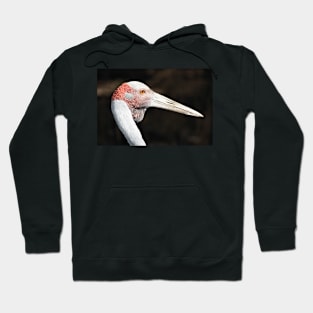 Brolga Portrait Hoodie